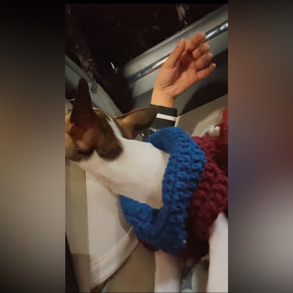 XSmall Dog Rainbow Crochet Sweater Dress HandMade - Picture 5 of 5